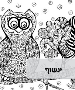 4 פוסטרים ענקיים לצביעה (50/70 ס״מ)
